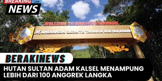 Hutan Sultan Adam di Kalimantan Selatan Menampung Lebih dari 100 Anggrek Langka