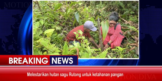 Melestarikan Hutan Sagu Rutong