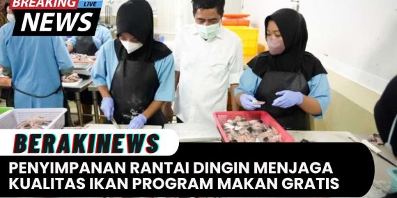 Penyimpanan Rantai Dingin Menjaga Kualitas Ikan Dalam Program Makanan Siang Gratis